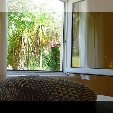 Hébergement de vacances Haus Mit Blick Auf Kenmare Bucht Umgeben Von Subtropischer Vegetation *
