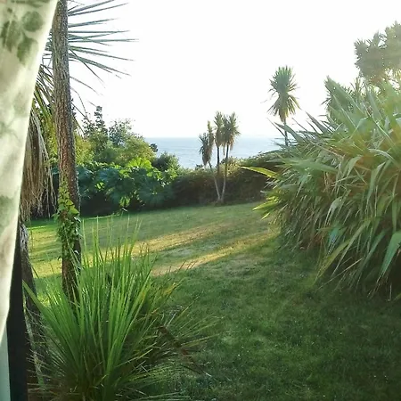 Hébergement de vacances Haus Mit Blick Auf Kenmare Bucht Umgeben Von Subtropischer Vegetation *