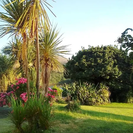 Hébergement de vacances Haus Mit Blick Auf Kenmare Bucht Umgeben Von Subtropischer Vegetation *